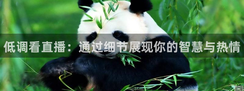 球友体育免费看nba：低调看直播：通过细节展现你的智慧与热情