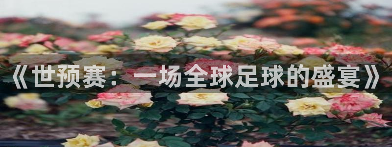 球友体育直播：《世预赛：一场全球足球的盛宴》