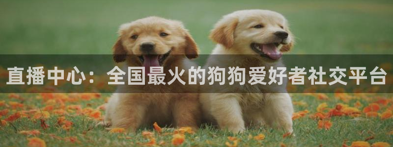 球友体育：直播中心：全国最火的狗狗爱好者社交平台