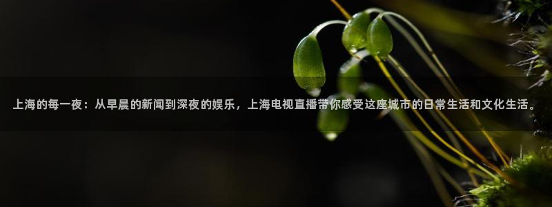 球友体育官网：上海的每一夜：从早晨的新闻到深夜的娱乐，上海电视直播带你感受这座城市的日常生活和文化生活。