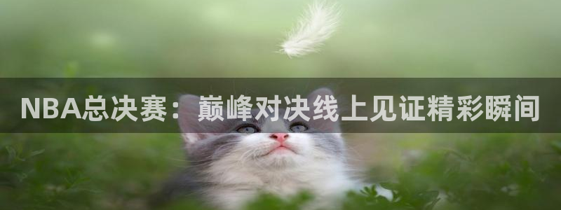 球友直播ios：NBA总决赛：巅峰对决线上见证精彩瞬间