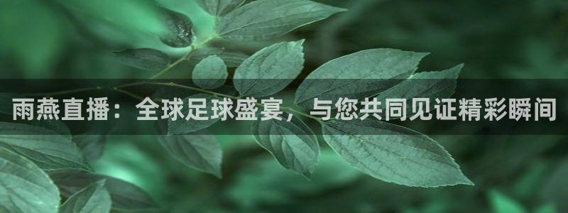 球友体育下载：雨燕直播：全球足球盛宴，与您共同见证精彩瞬间