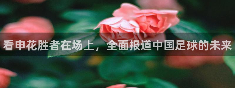 球友直播在线直播：看申花胜者在场上，全面报道中国足球的未来